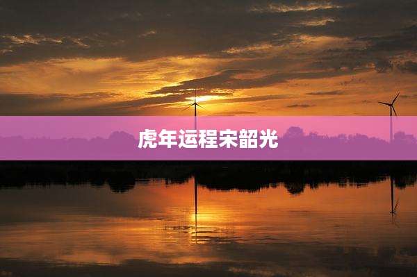 虎年运程宋韶光