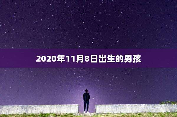 2020年11月8日出生的男孩