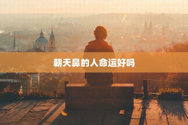 朝天鼻的人命运好吗