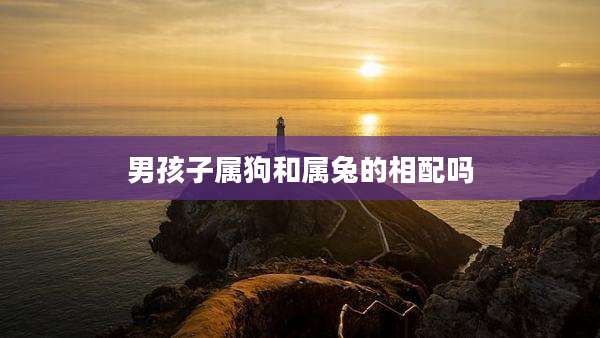 男孩子属狗和属兔的相配吗