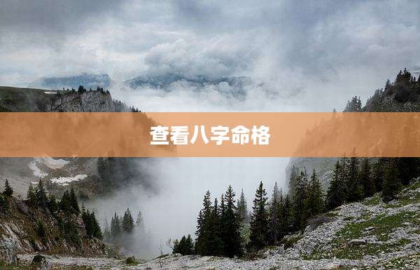 查看八字命格