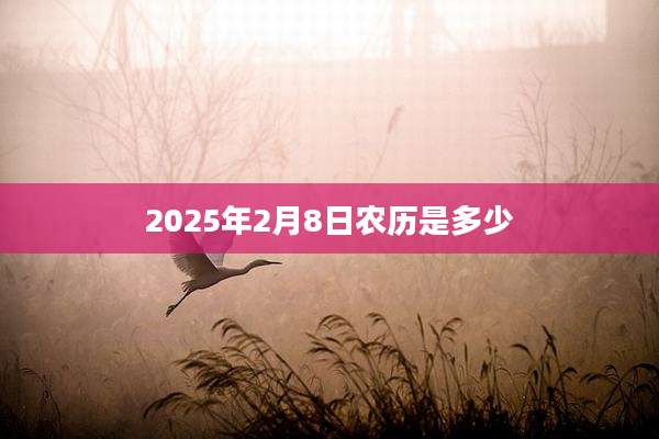2025年2月8日农历是多少