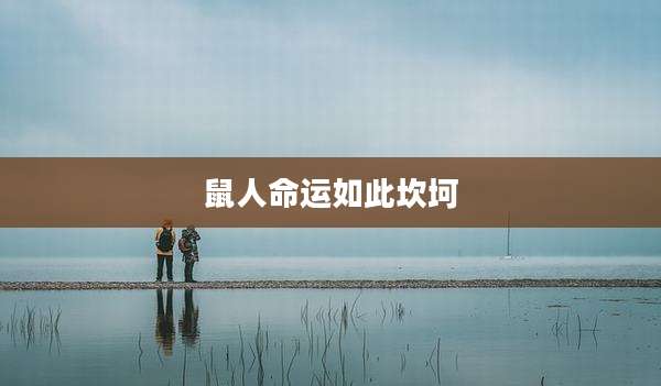 鼠人命运如此坎坷