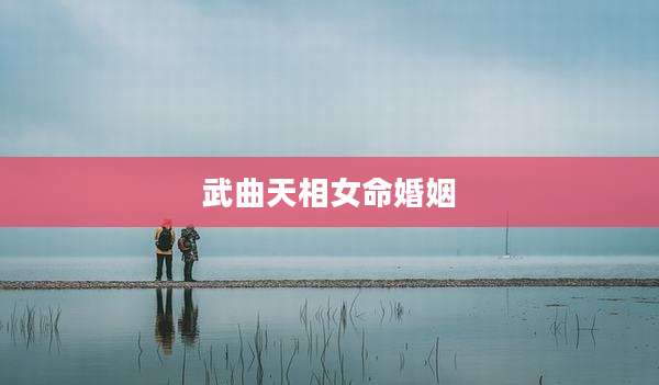 武曲天相女命婚姻
