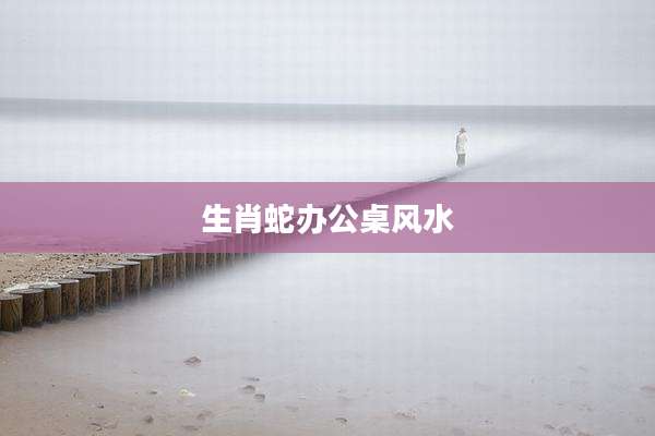 生肖蛇办公桌风水