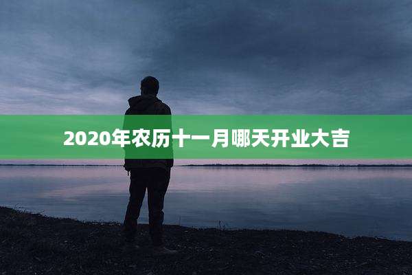 2020年农历十一月哪天开业大吉