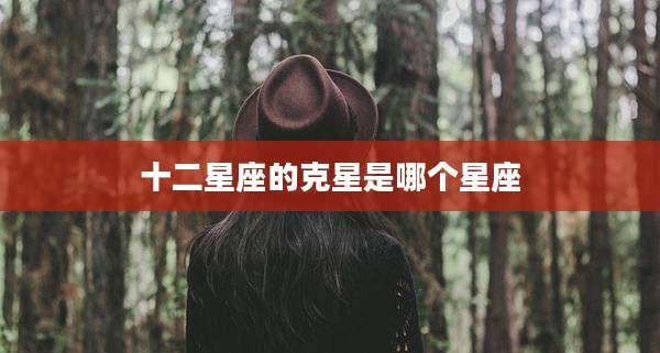 十二星座的克星是哪个星座