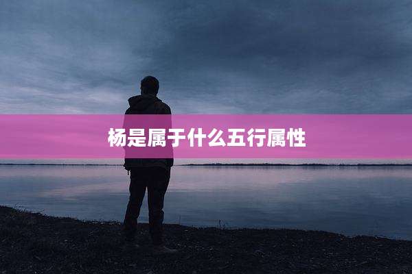 杨是属于什么五行属性