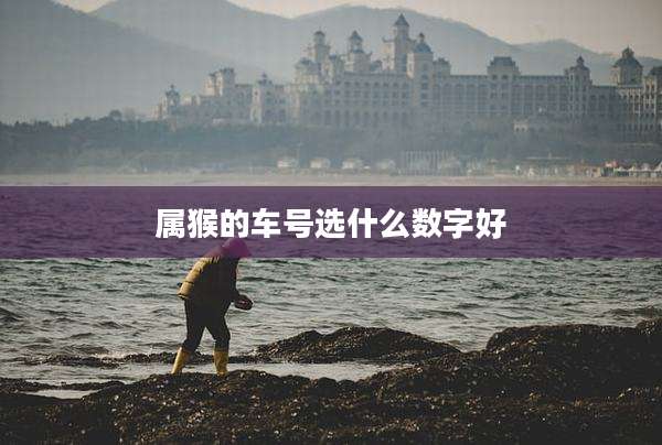 属猴的车号选什么数字好