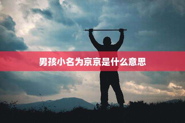 男孩小名为京京是什么意思