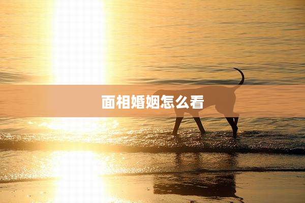 面相婚姻怎么看