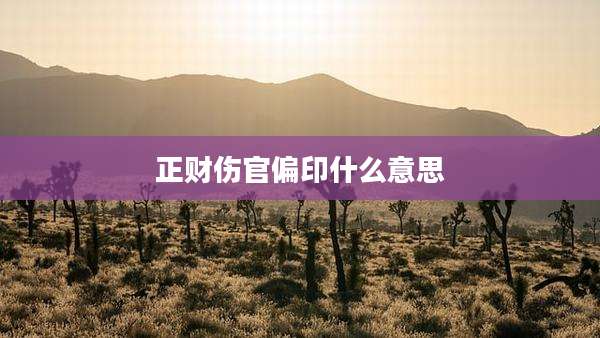 正财伤官偏印什么意思