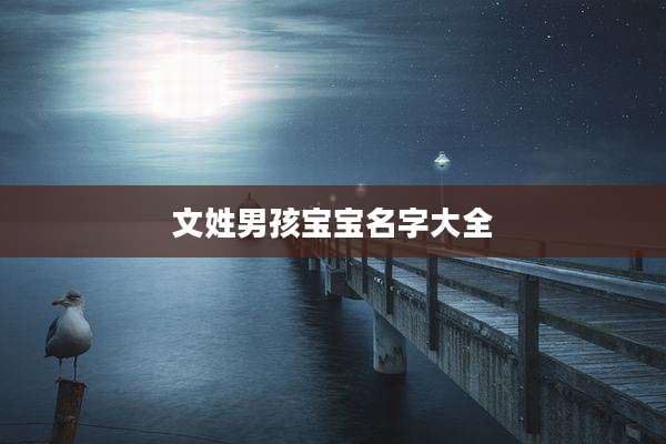 文姓男孩宝宝名字大全