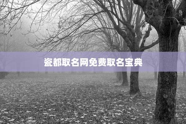 瓷都取名网免费取名宝典