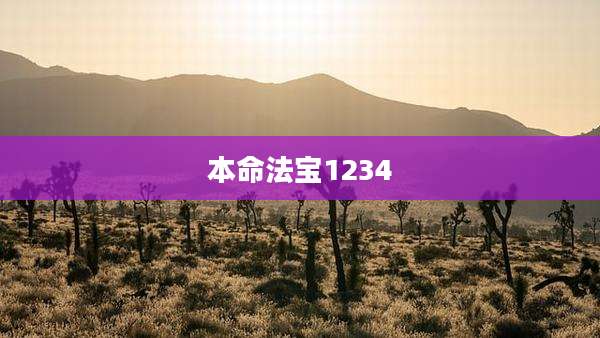 本命法宝1234