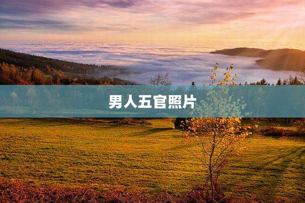 男人五官照片