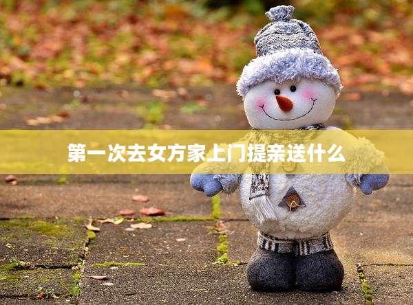 第一次去女方家上门提亲送什么