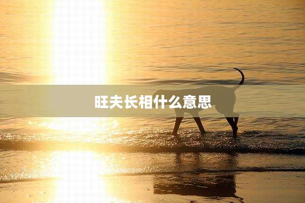旺夫长相什么意思