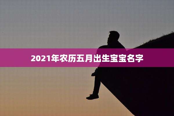 2021年农历五月出生宝宝名字