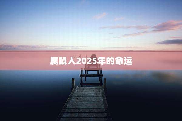 属鼠人2025年的命运