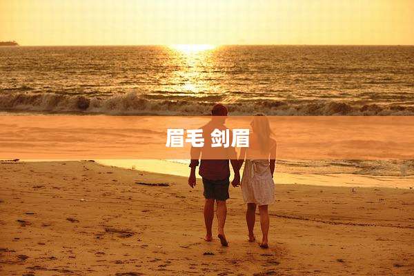眉毛 剑眉