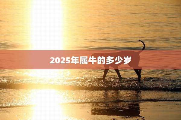 2025年属牛的多少岁