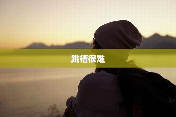 跳槽很难