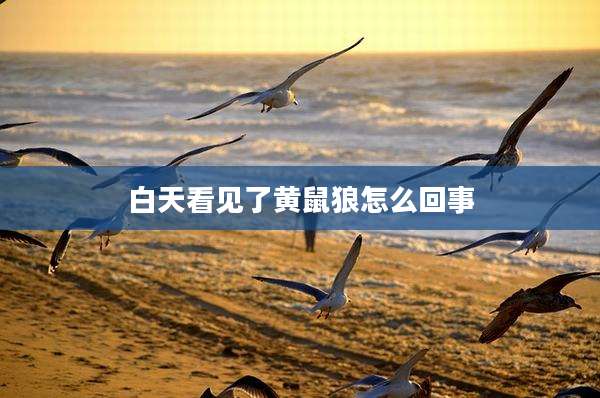 白天看见了黄鼠狼怎么回事