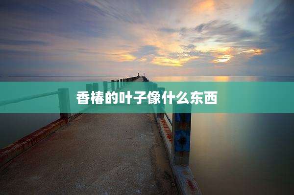 香椿的叶子像什么东西