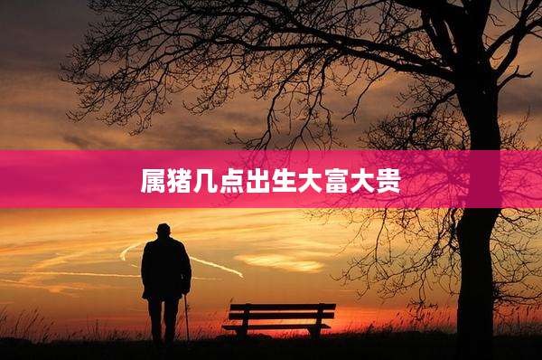 属猪几点出生大富大贵
