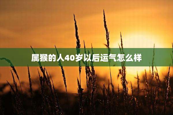 属猴的人40岁以后运气怎么样
