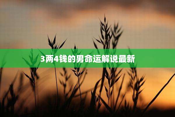 3两4钱的男命运解说最新