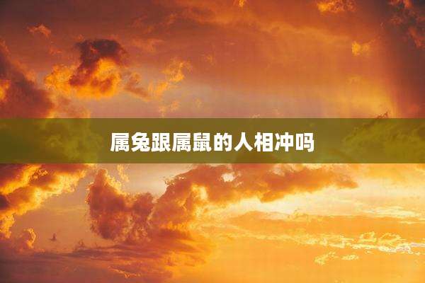 属兔跟属鼠的人相冲吗