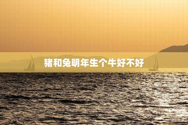 猪和兔明年生个牛好不好