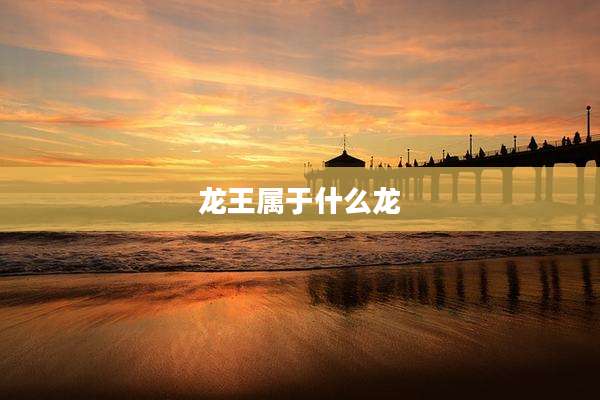 龙王属于什么龙