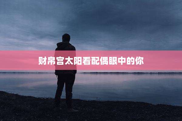 财帛宫太阳看配偶眼中的你