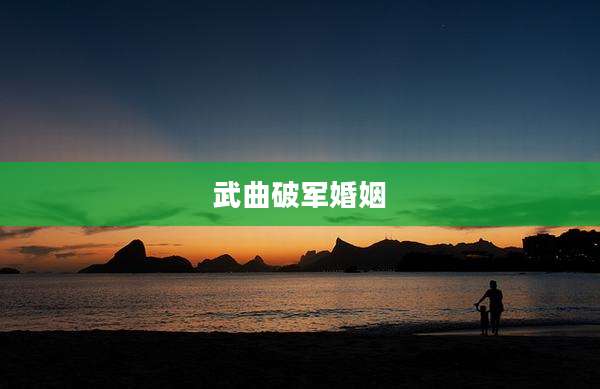 武曲破军婚姻