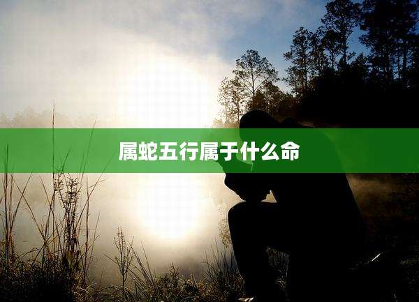属蛇五行属于什么命