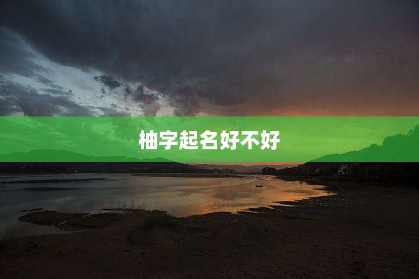柚字起名好不好