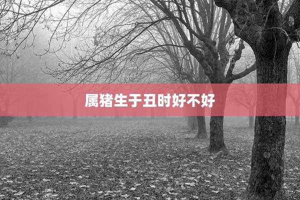 属猪生于丑时好不好