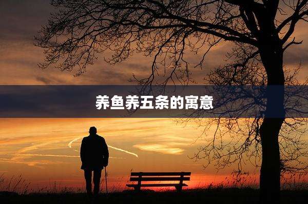 养鱼养五条的寓意