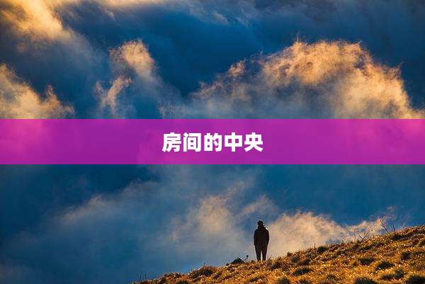 房间的中央