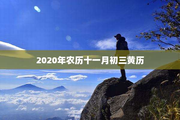 2020年农历十一月初三黄历