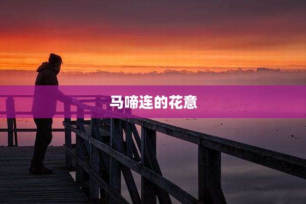 马啼连的花意