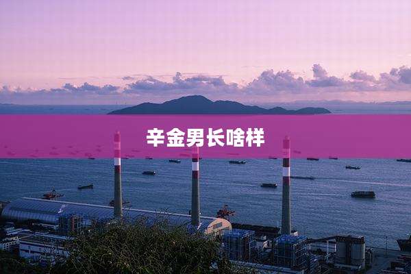 辛金男长啥样