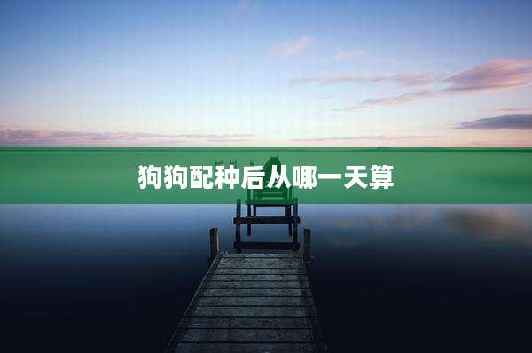 狗狗配种后从哪一天算