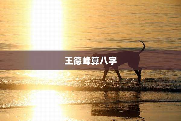 王德峰算八字