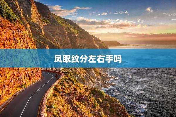凤眼纹分左右手吗
