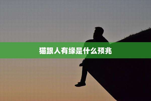 猫跟人有缘是什么预兆