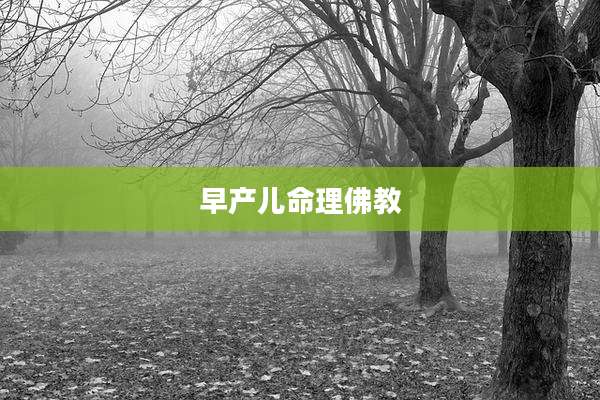 早产儿命理佛教